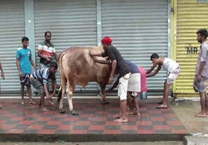 ঈদের দ্বিতীয় দিনেও চলছে পশু কোরবানি