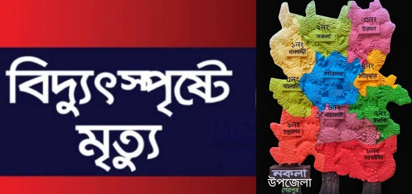 নকলায় বিদ্যুৎস্পৃষ্টে নিহত ১